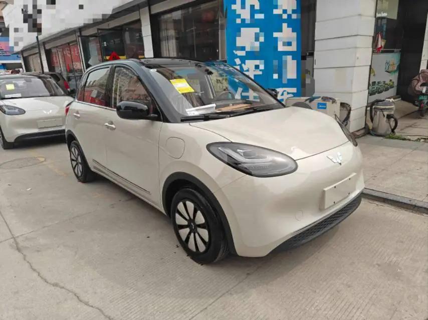 WuLing Plantronics 2024 333km Pleasant 2