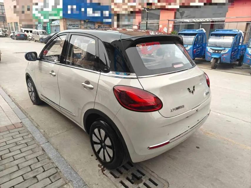 WuLing Plantronics 2024 333km Pleasant 8