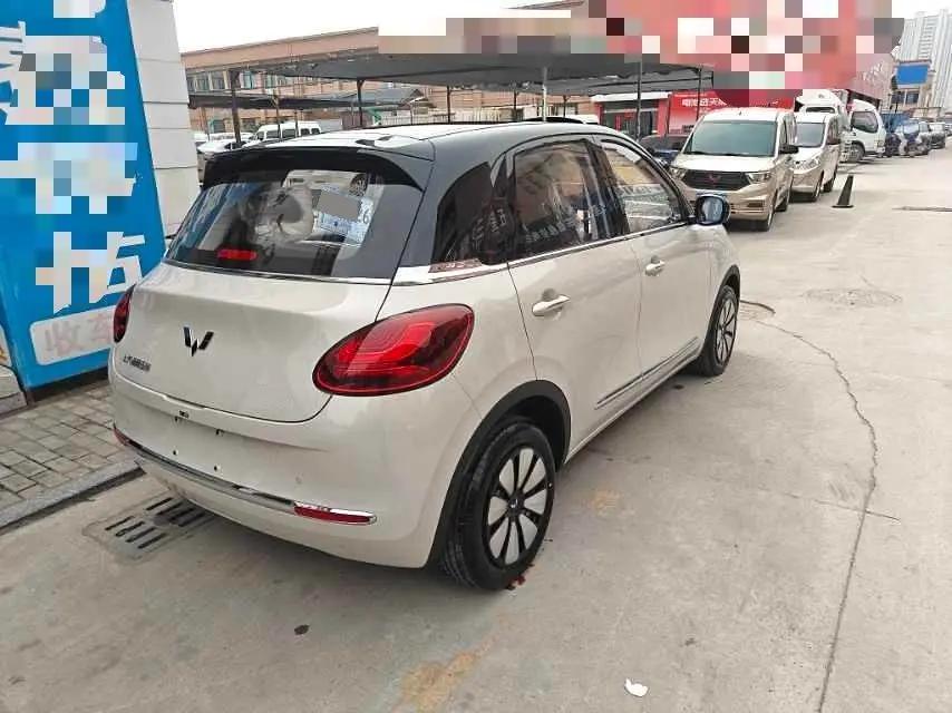 WuLing Plantronics 2024 333km Pleasant 9