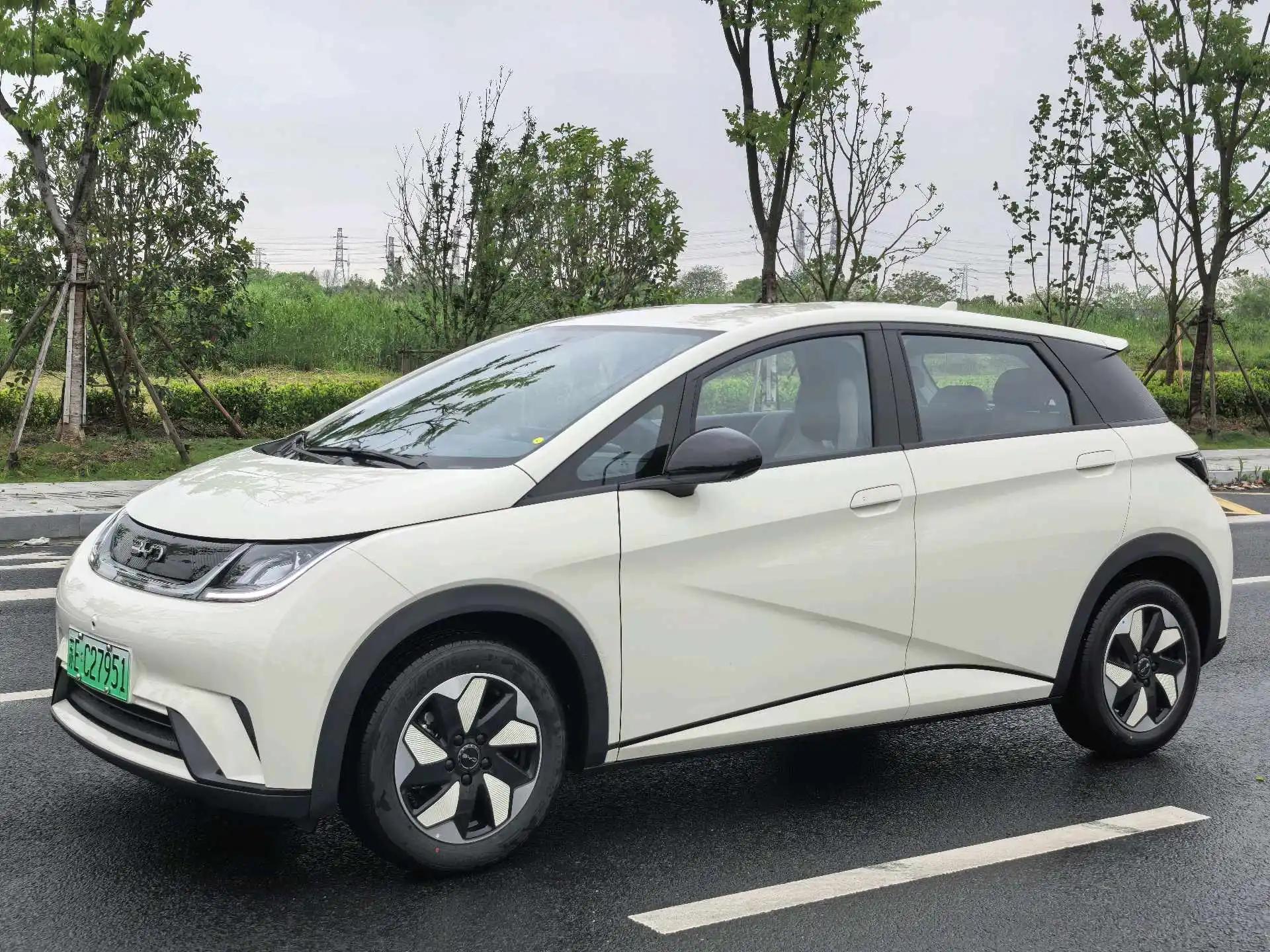BYD 2025 Dolphin Intelligent Driving Edition 420km Free Edition Automatic