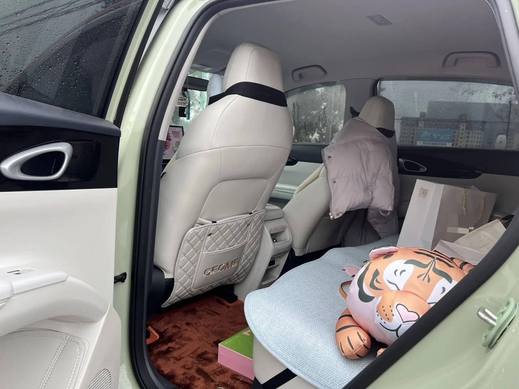 Geely 2024 Star Wish 410km Free Edition Automatic Gear 8